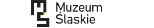 muzeum śląskie